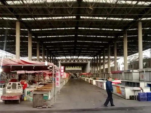 汶上街道新中都農貿市場與順富醫藥共譜食品安全新篇章，順利通過省級規范提升驗收
