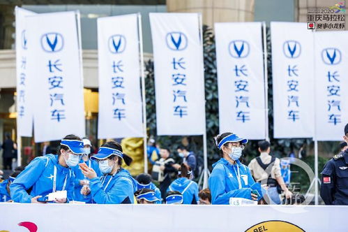 重馬十年 | 年入百萬，重馬造就財富新機遇——重慶創業團隊順富醫藥的崛起之路